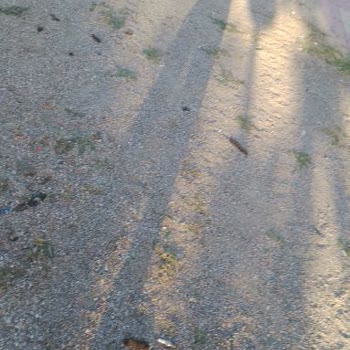 İncirliova Belediyesi Oyun Parklarının Bakımını Yapmıyor