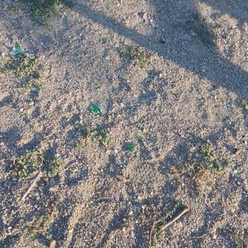 İncirliova Belediyesi Oyun Parklarının Bakımını Yapmıyor