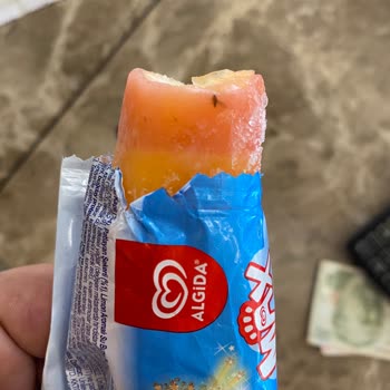 Algida Gökkuşağı Dondurmadan Sinek Çıkması