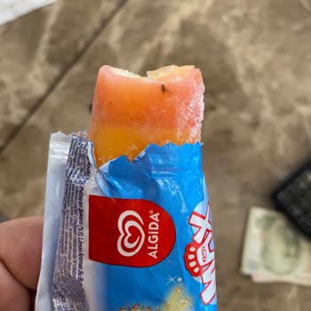 Algida Gökkuşağı Dondurmadan Sinek Çıkması