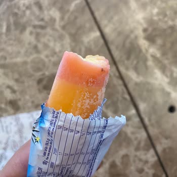 Algida Gökkuşağı Dondurmadan Sinek Çıkması