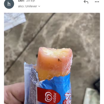 Algida Gökkuşağı Dondurmadan Sinek Çıkması