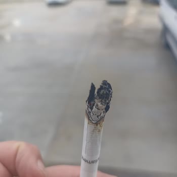 Parliament Çöpü Ve Detaylar