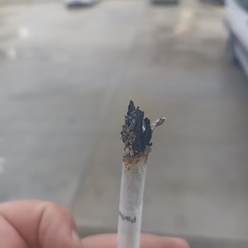 Parliament Çöpü Ve Detaylar