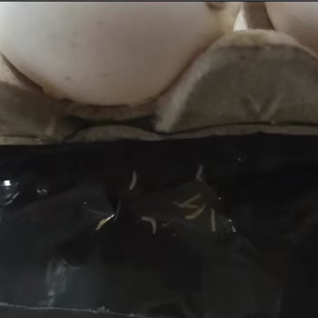 Şok Market Kurtlu Yumurta Sorunu