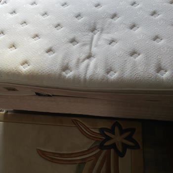 Bambi Yatak Arızası Deforme Oldu