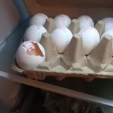 BİM Yumurta Bili Bili