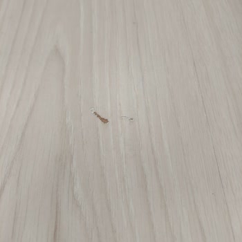 Doğtaş Mobilya Gardırobum Üç Aydır Kurulamadı