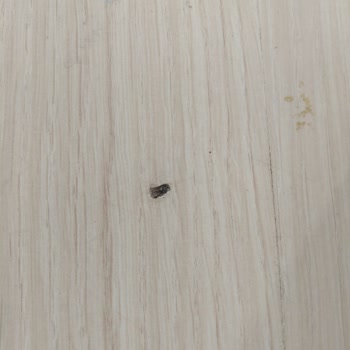 Doğtaş Mobilya Gardırobum Üç Aydır Kurulamadı