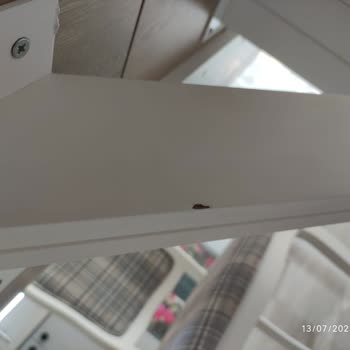 Kelebek Mobilya Angelic Masa Ve Sandalye Mağduriyeti