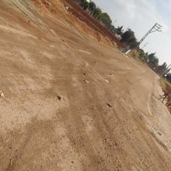 Adana Büyükşehir Belediyesi Uygunsuz Yere Yapılan Kasis