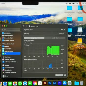 Apple Pil Ve Kıdemli Uzman Müşteri Temsilcisi