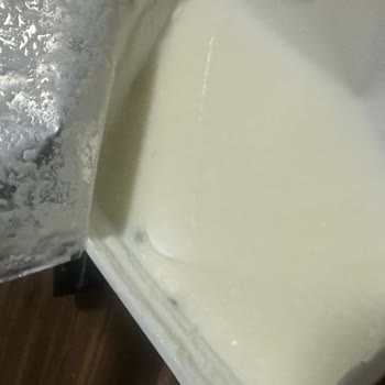 Torku Süzme Peynir Küflü Çıktı