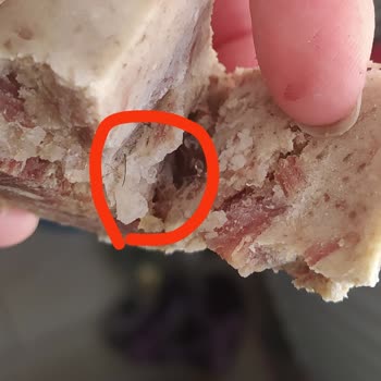 Maret Kelle Paçadan Kıl Çıktı