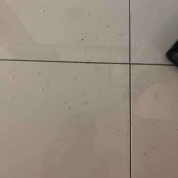 Beko İade Ve Değişim Kabul Etmiyor!