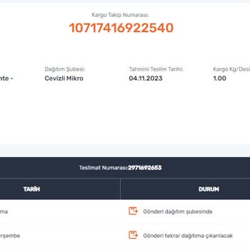 Sürat Kargo Cevizli Mikro Şube