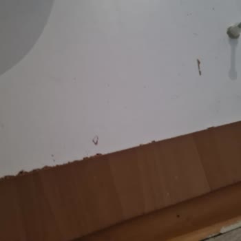Yeni Yuvam Evden Eve Nakliyat Üslupsuz Konuşma Ve İşlerini Söylendiği Gibi Yapılmaması