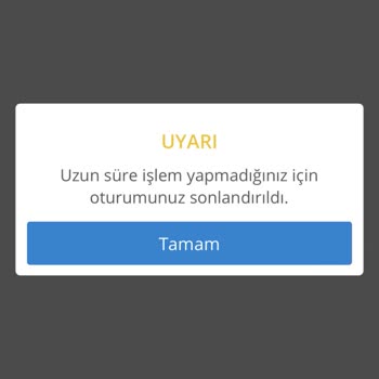 Denizbank Borç Bakiyesi Var