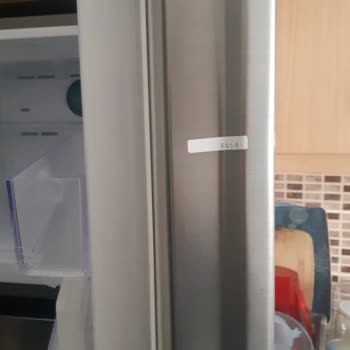 Samsung RT46K6000S8 Buzdolabı Şikayeti