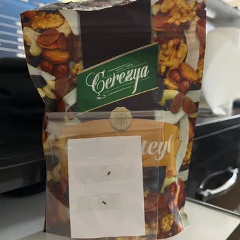 Çerezya Üründen Canlı Böcekler Çıktı