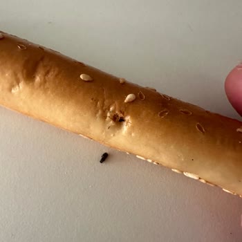 BİM Ekmekçik Böcekle Pişen Galeta