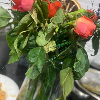 Çiçek Sepeti Kurumuş Solmuş Gülleri Gönderdi.