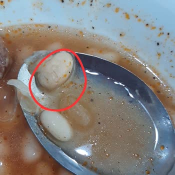 Isparta Gülcihan Öğrenci Yurdu Yemekhane Kötü!