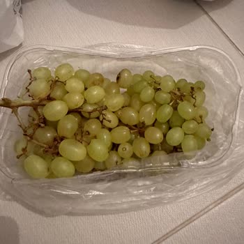 Migros Çürümüş Ürün Gönderiyorlar