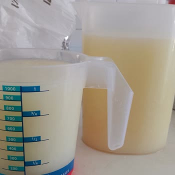 Elazığ Yöresel Burada Adlı İsteme