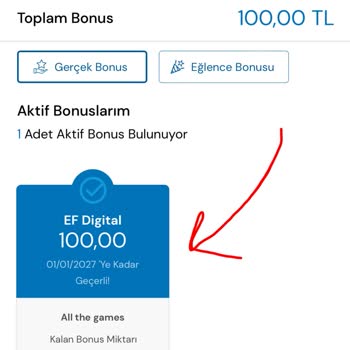 Papara Milli Piyango %20 Bonusu Gelmedi
