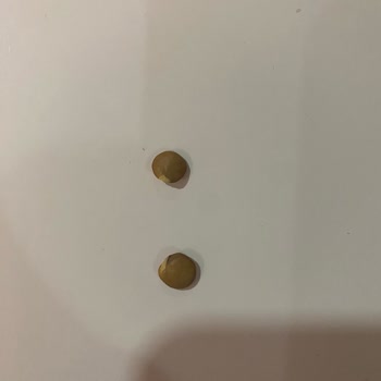 Migros'un Yeşil Mercimeği Filizlenmiş Çıktı!