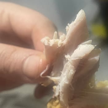 Popeyes Çiğ Tavuk 😡