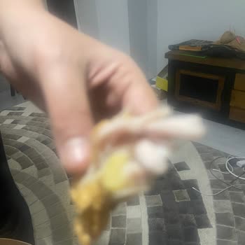 Popeyes Çiğ Tavuk 😡