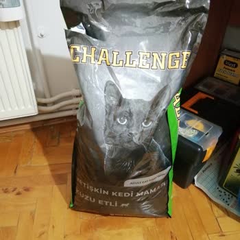 A101 Kedilerin Yemediği Kedi Maması