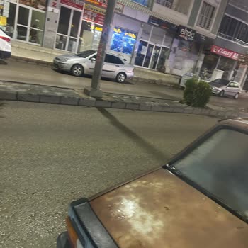 Elazığ Belediyesinin Sokak Hayvanlarına Verdiği Değer