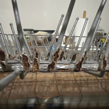 Samsung Bulaşık Makinesi Ya Da Paslanma Makinesi!