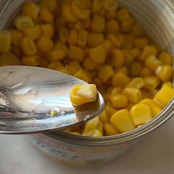 A101 Çokça Marka Kurtlu Konserve Mısır