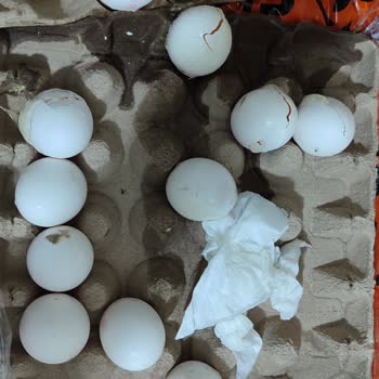 Migros Bayat Ve Küflü Ürün