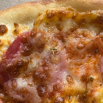 PizzaLazza Bosna Bulvarı Pizzamdan Sinek Çıktı!