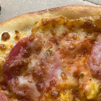 PizzaLazza Bosna Bulvarı Pizzamdan Sinek Çıktı!