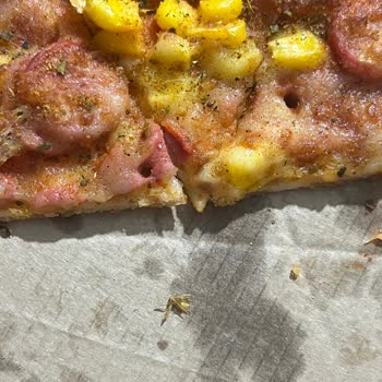 PizzaLazza Bosna Bulvarı Pizzamdan Sinek Çıktı!