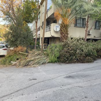 İzmir Büyükşehir Belediyesi Kesilen Ağaçlar Yolları Kapatmış Durumda