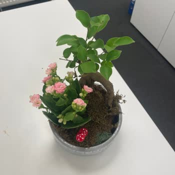 Çiçek Sepeti'nden Çiçek Alırsınız Odun Parçası Gönderirler