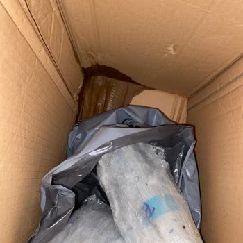 Petlebi Sürekli Mağdur Edilmem