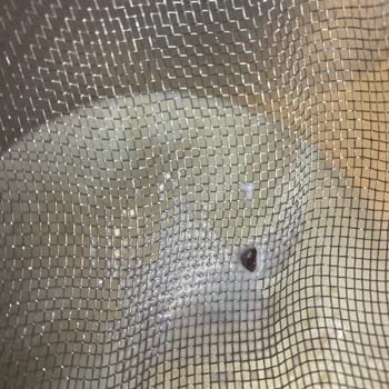 A101 Birşah Sütün İçinden Yabancı Cisim Cıktı