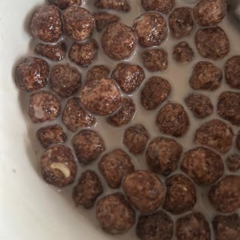 Nesquik İçinden Kurt Çıktı