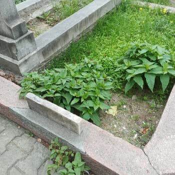 İBB - İstanbul Büyükşehir Belediyesi Mezarlıktaki Mezar Taşları Kırılıyor