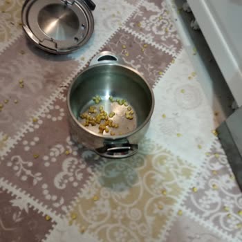 Oms Collection Düdüklü Tencere Patlaması