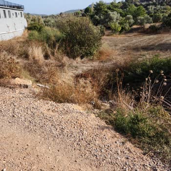 DSİ (Devlet Su İşleri) Dere Yatağının Kapatılarak Yol Geçirilmesi