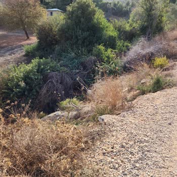 DSİ (Devlet Su İşleri) Dere Yatağının Kapatılarak Yol Geçirilmesi